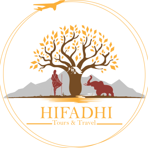 Hifadhi Travels